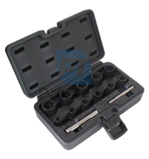 11 piece set of sockets for damaged screws profi Asta A-0950 06997