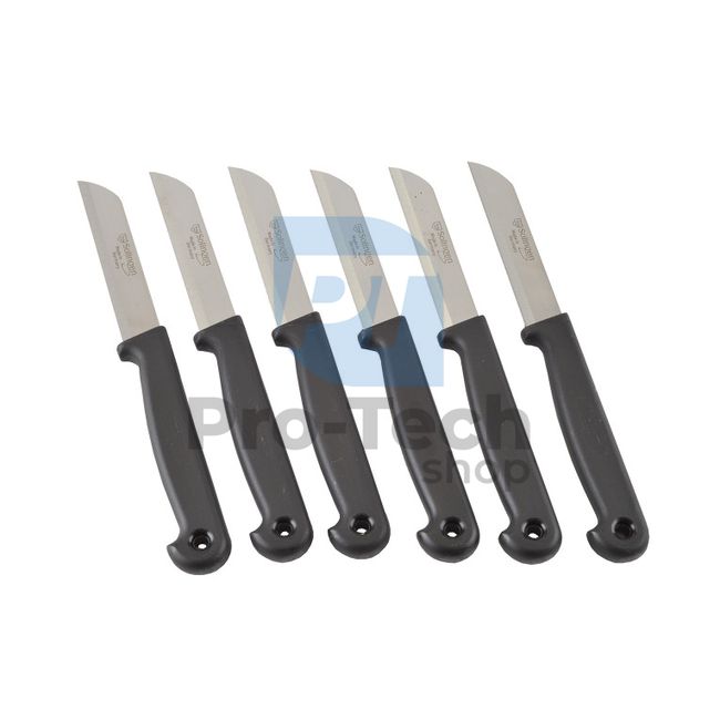 6-piece vegetable knife set 53252