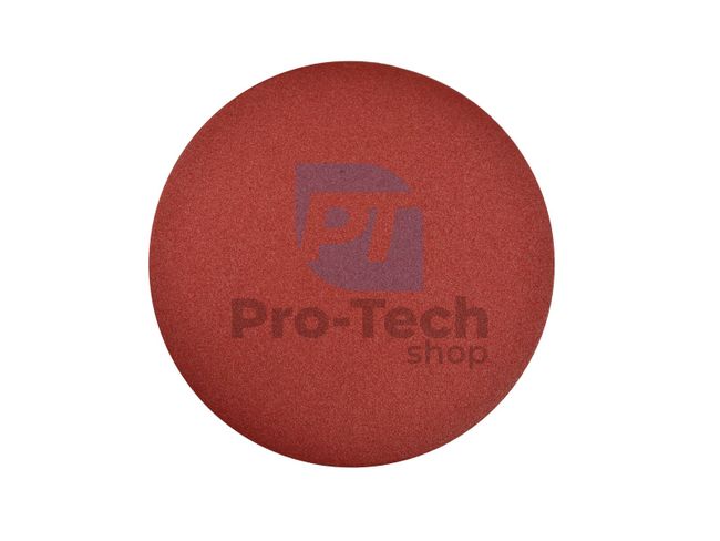 Sanding Disc 225mm P150 09113