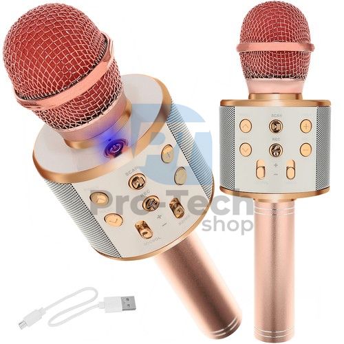 Karaoke microphone with speaker - pink-gold Izoxis 22190 75844