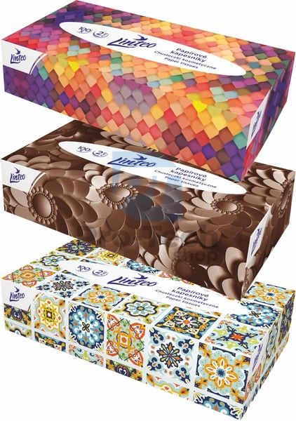 2-ply facial tissues 100pcs LINTEO SATIN BOX 30407