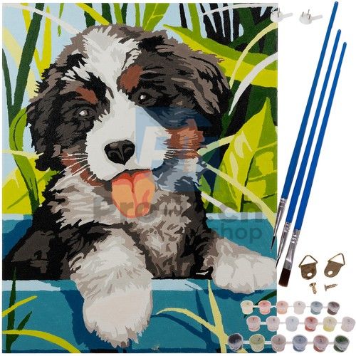 Paint by numbers 40x30cm - dog Maaleo 22780 75913