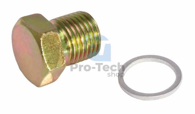 Repair screw for oil pan plugs M15X1.5 profi Asta A-M15A-01/02 06255