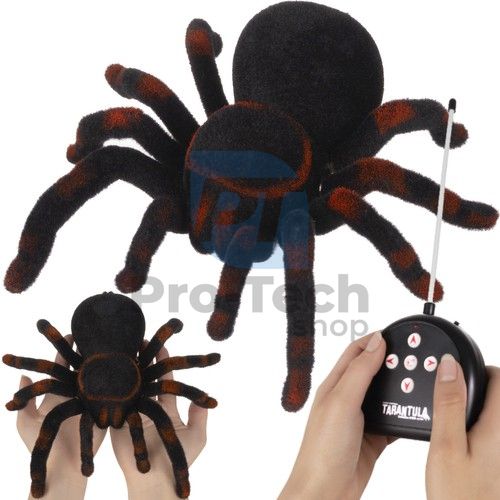 Tarantula spider with remote control 74847