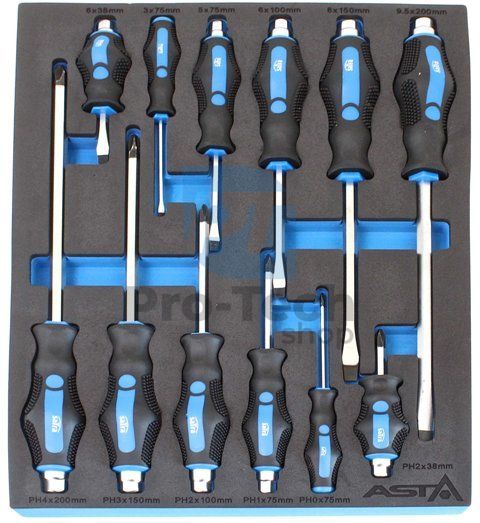 Foam insert - screwdrivers 12pcs Profi ASTA 12032