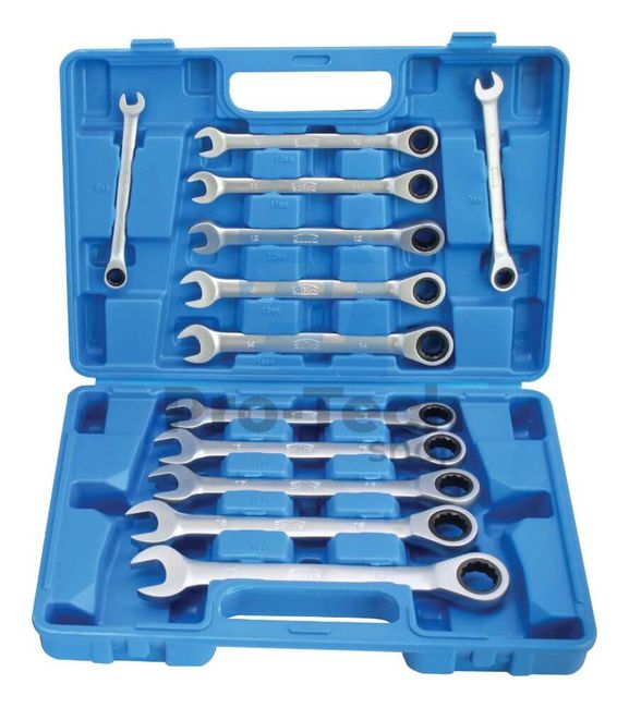 Ratchet wrenches 8-19mm 12pcs 12887