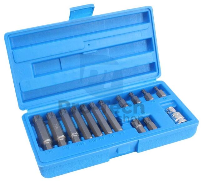 Set of bits RIBE 14 pcs Satra 12646