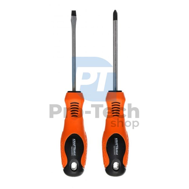 Set of Phillips and flat head screwdrivers 2pcs PH2 and 5.5mm 10778