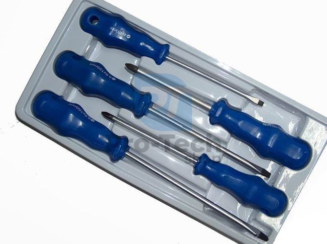 Set of cross and flat head screwdrivers 5pcs 00666