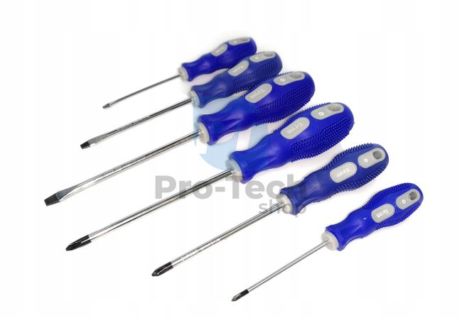 Set of Phillips and flat head screwdrivers 6pcs 09664