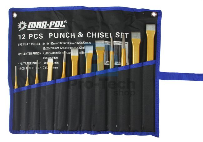 Set of 12 chisels and hole punches in case 14188