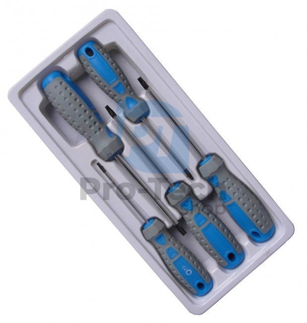 Torx screwdriver set 5pcs 02156