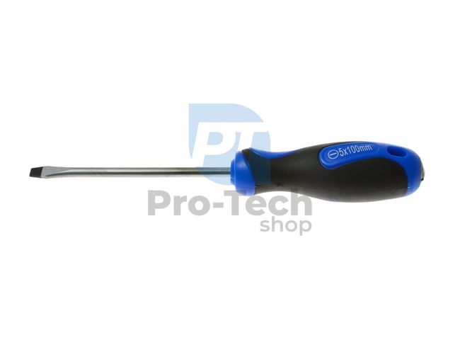 Flathead screwdriver 5x100mm 09622