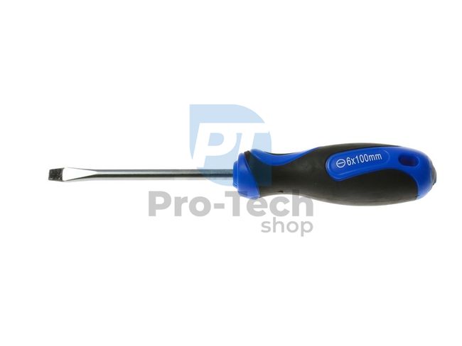 Flat Screwdriver 6x100mm 09618