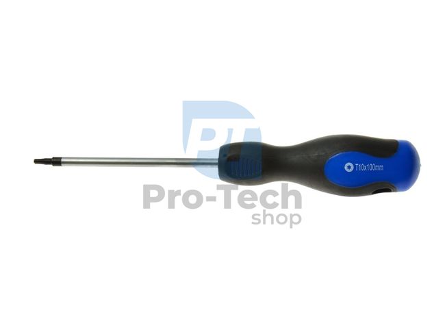 Torx Screwdriver T10 100mm 09630